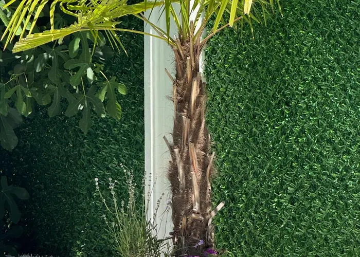 Safra Apartman Vrnjačka Banja